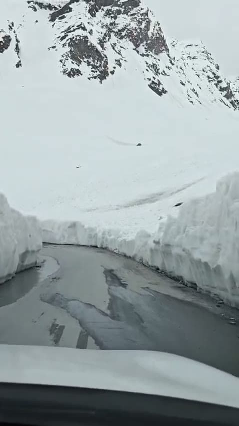 Through the snow passes