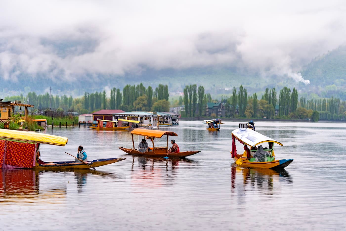 Kashmir Honeymoon Special